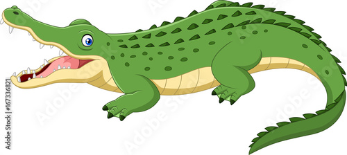 Cartoon crocodile isolated on white background