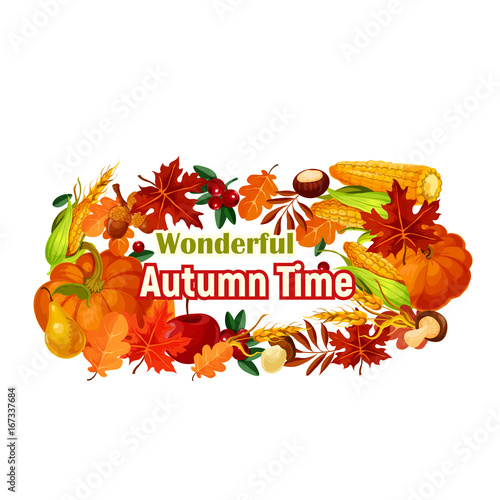 Autumn harvest poster of vector pumpkin, corn leaf