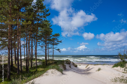 Fototapeta Naklejka Na Ścianę i Meble -  Baltic sea shore in Latvia