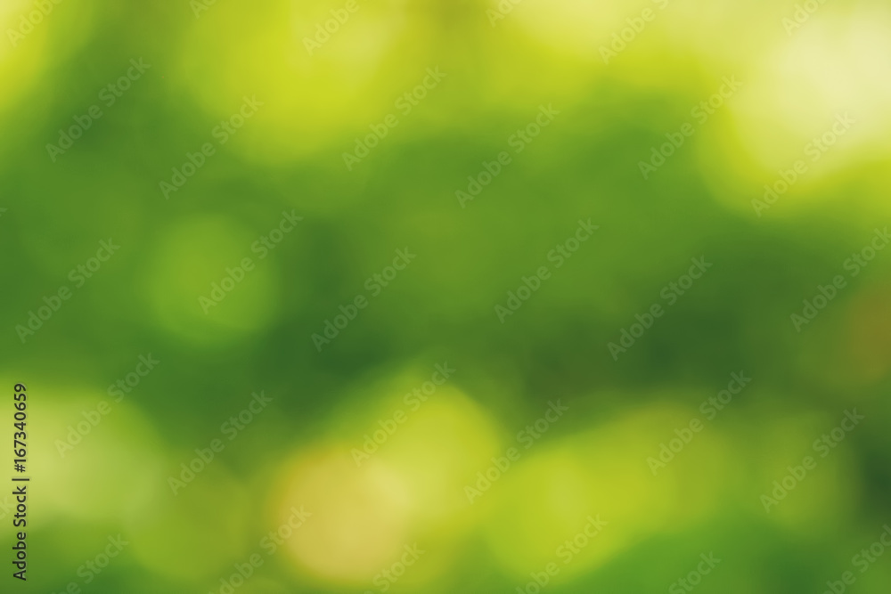 Green-yellow-white abstract background.