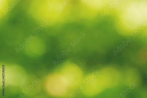Green-yellow-white abstract background.