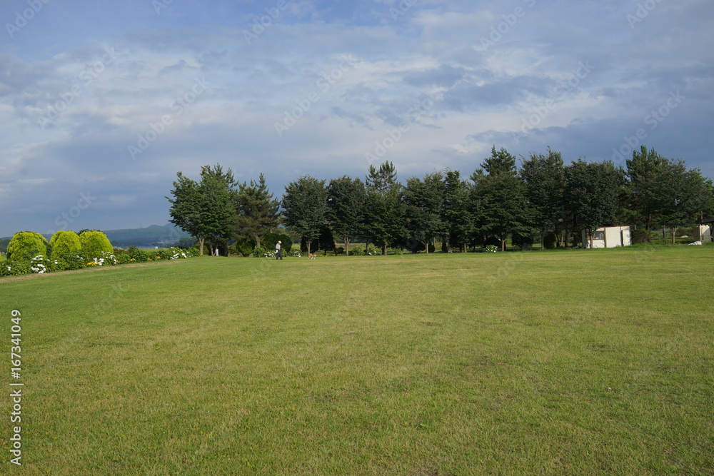 芝生の公園　広場　青空　戸外　