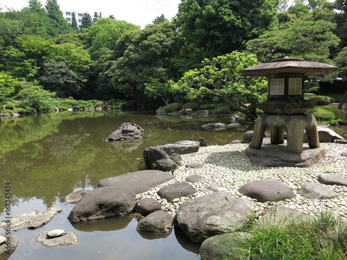 旧古河庭園の日本庭園 photo