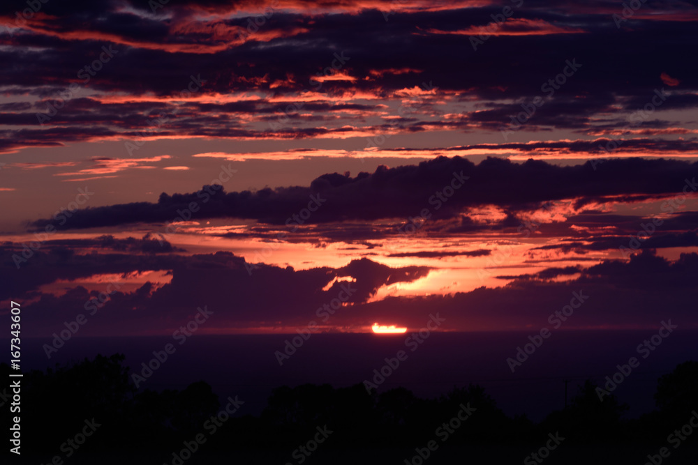 Fototapeta premium wales