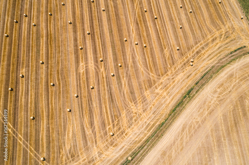 Golden Hay Bales During Harvest Season