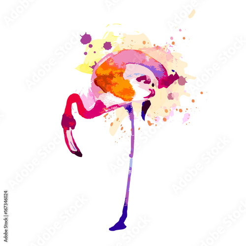 Beautiful watercolor flamingos, isolaned on a white © aboard