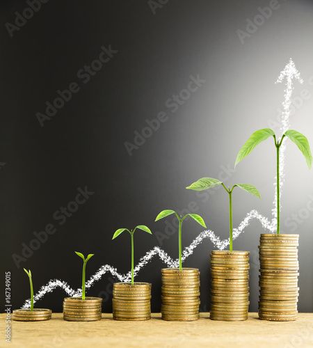 Konstfotografi Money coin stack arranged as a graph on wood with tree growth and write white ch