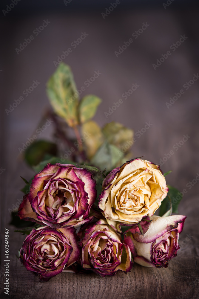 Obraz premium Welke, getrocknete Rosen
