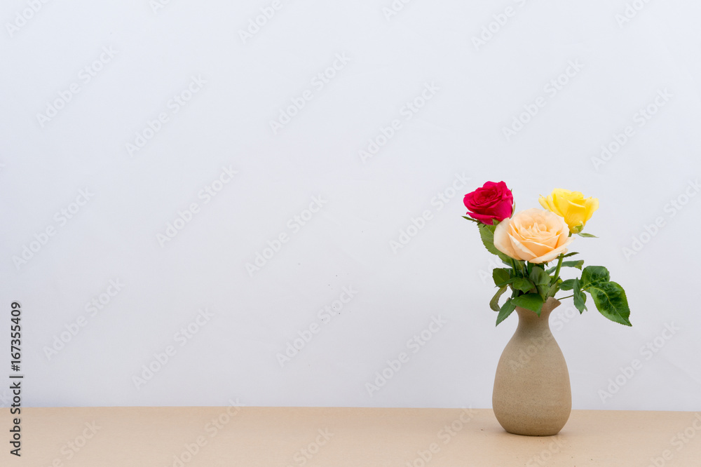 Indoor plant on wooden table and white wall