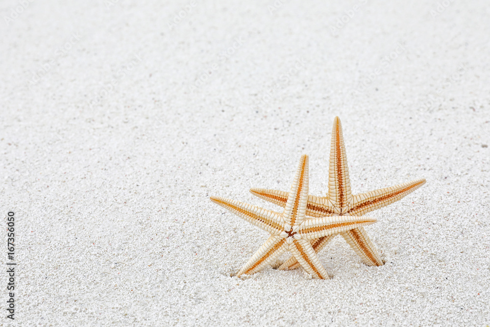 Starfish on sea beach. Summer vacation concept