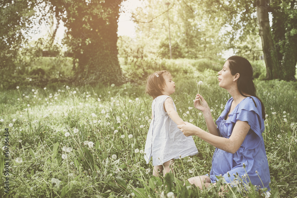 Fototapeta premium Pregnant mother playing with little daughter in park. Mother and daughter blowing dandelion.