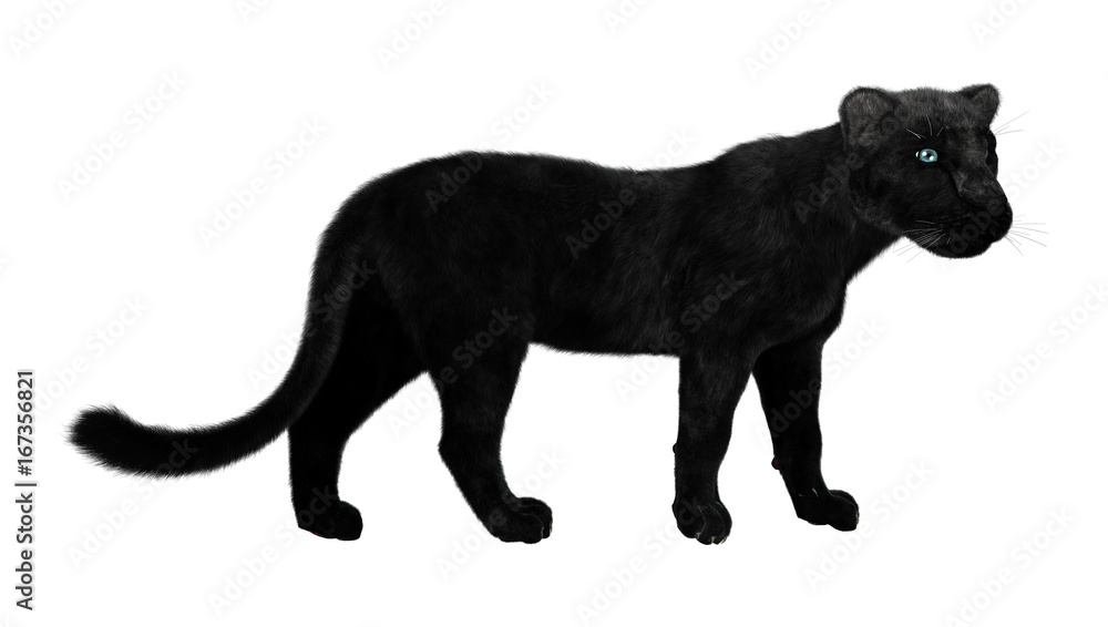 Obraz premium 3D Rendering Black Panther on White