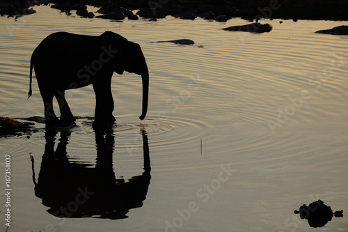 Elefanten Silhouette am Wasserloch, Etosha Nationalpark, Namibia