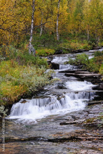 Wildbach im Birkenfjellwald  Herbst  Schweden