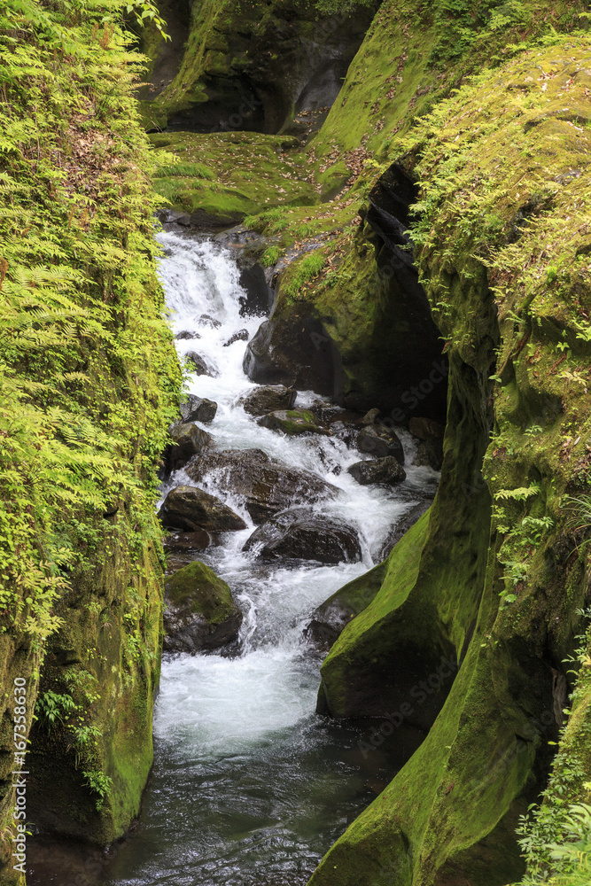 Obraz premium Takachiho gorge in Kyushu Japan