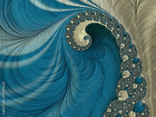 The coral sea