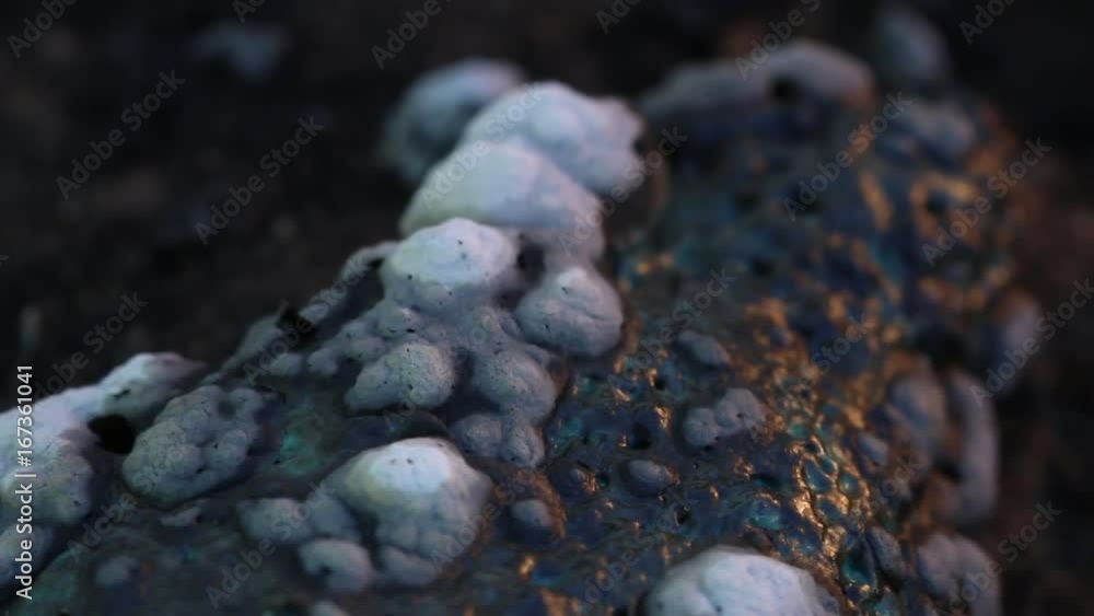 Charred remains of plastic toys, close up Charred remains of plastic toys, close up