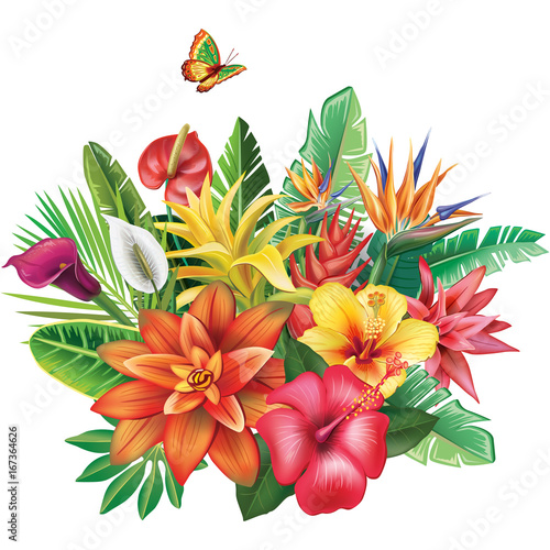 Arrangement from tropical flowers