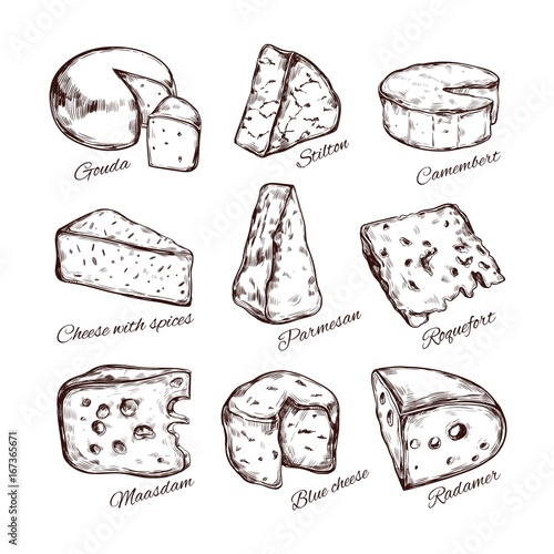 Cheese collection. Vector 2
