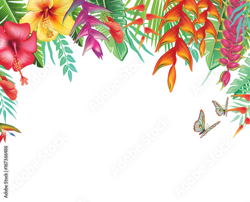 Frame from tropical and flowers