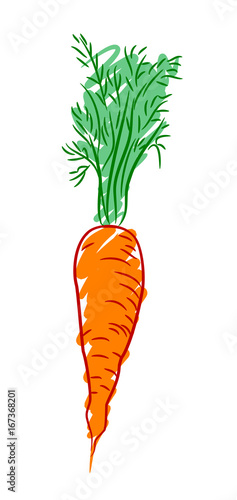 Carrots, drawn by hand, in a doodle style