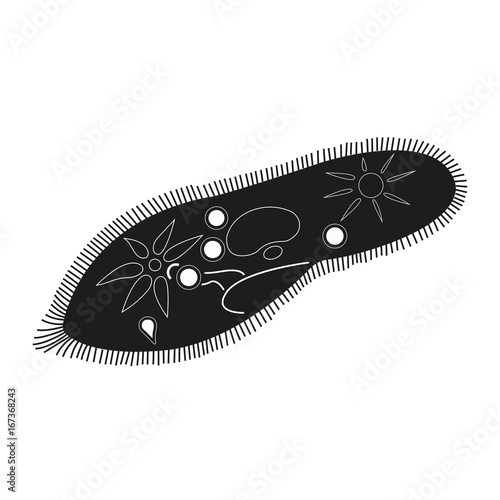 Bacteria or virus icon. Ciliate slipper symbol. Vector illustration.