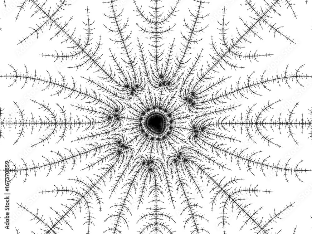 Obraz premium Monochrome, black and white graphics.