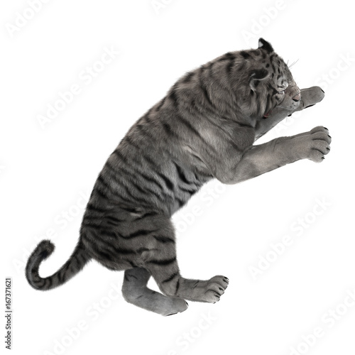 Fototapeta Naklejka Na Ścianę i Meble -  3D Rendering White Tiger on White