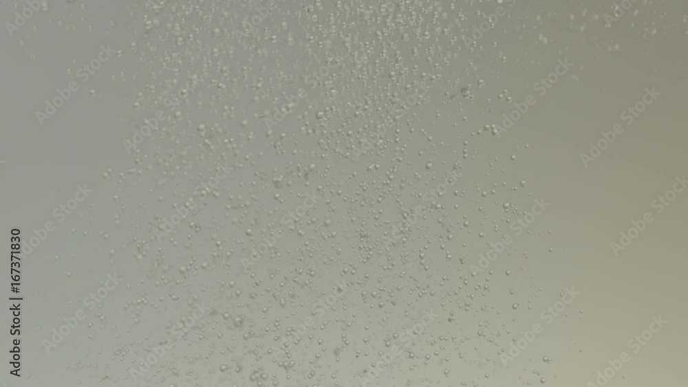 Bubbles Rise and Fall in Grey Water Bubbles Rise and Fall in Grey Water