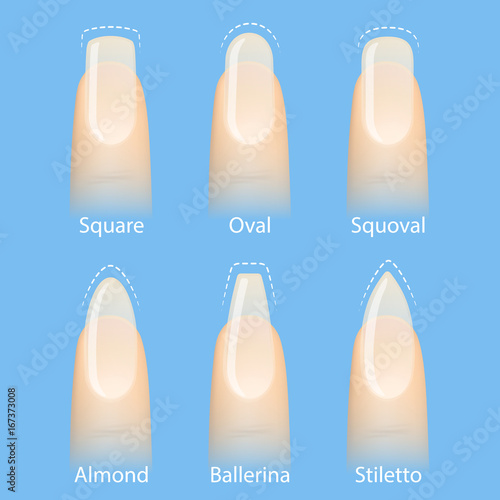 Nail manicure, set of nails shapes - oval, square, almond, stiletto, ballerina squoval Vector