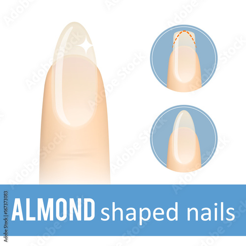 Nail manicure. How to make almond nail shape. Vector