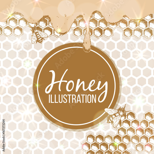 Sketch illustration, set of honey, organic nature product. Vector