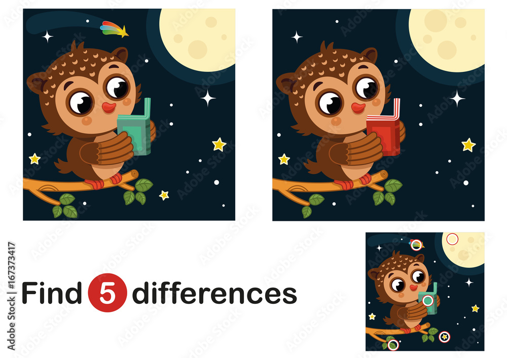 Obraz premium Find 5 differences education game for children, owl in the night. Vector illustration.
