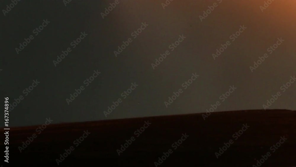 Piece of wood burns under flames, macro close up