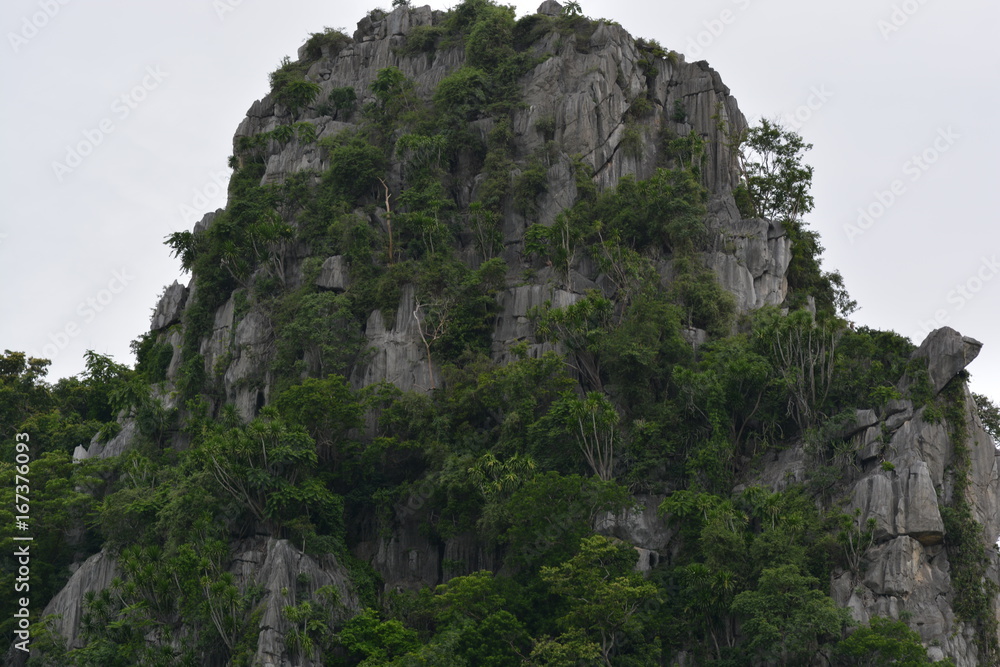 Gray mountain in Thailand with trees on the side of it