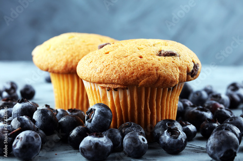freshly baked blueberry muffins. cupcakes with blueberries