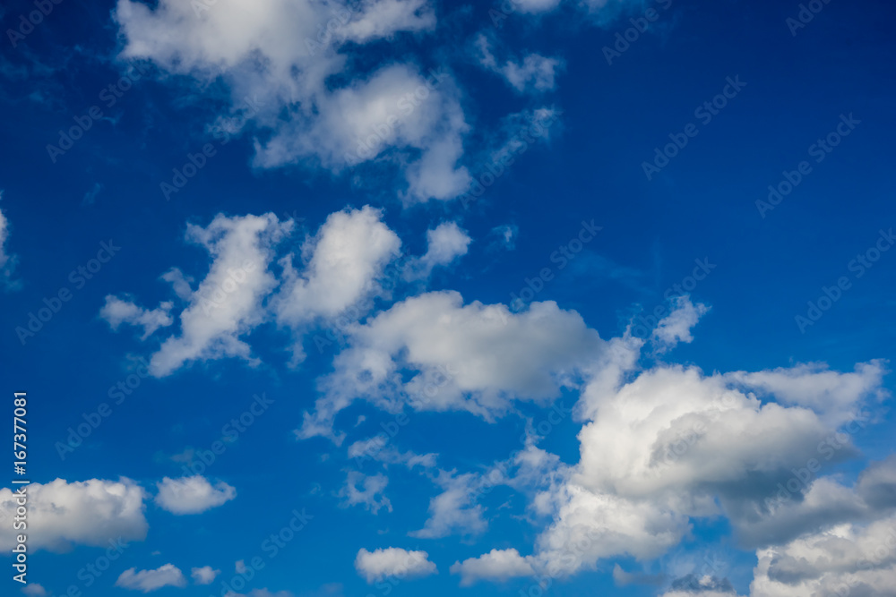 Fototapeta premium blue sky with clouds closeup.