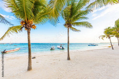 Fototapeta Naklejka Na Ścianę i Meble -  Beautiful white sand beach in Akumal, Mexico - paradise bay Beach in Quintana Roo - caribbean coast - late afternoon and sunset at Riviera Maya