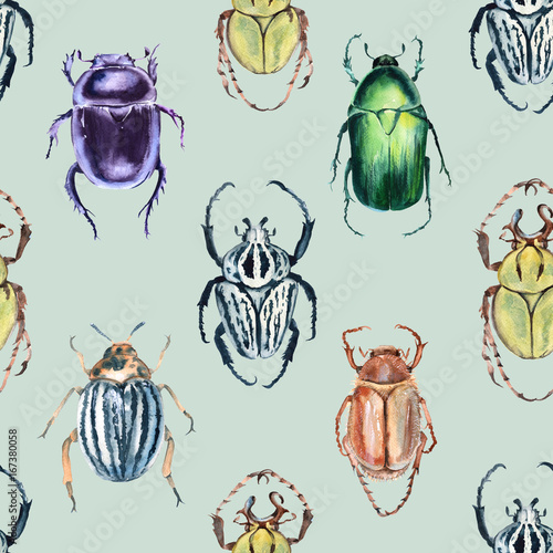 Beetle background. Seamless pattern.  © luchioly