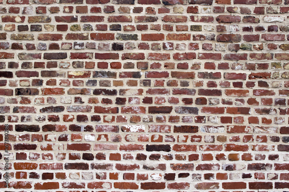 Fototapeta premium Brick Wall