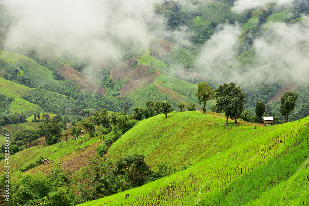 Obraz premium View of the mountain in Pua district