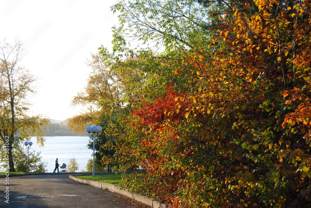 Naklejka premium autumn park