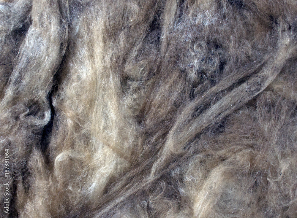 Obraz premium Background from glass wool. Close up image