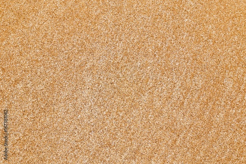 Fine sand texture used as background. Sandy beach background, Top view
