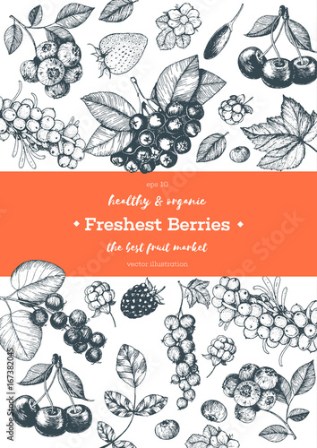 Berries hand drawn, vector illustration frame. Healthy food design template with berries photo