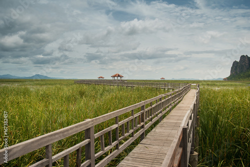 Wooden Bridge in lake at Sam Roi Yod National Park  Prachuap Khiri Khan  Thailand.