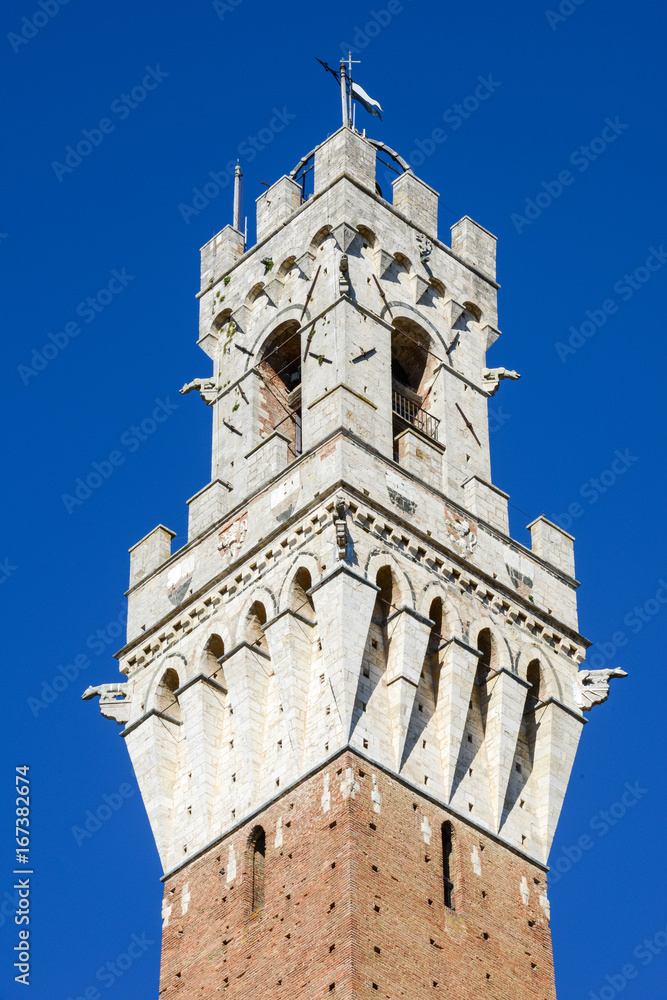 Detail of Mangia tower at Siena