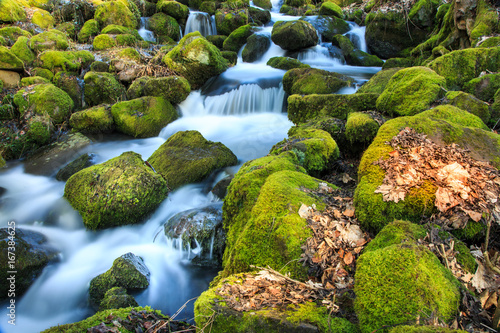 Wasserlauf II