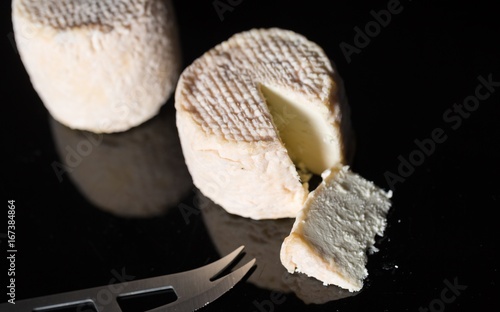 Studio shot of traditional goat cheese Chabichou photo