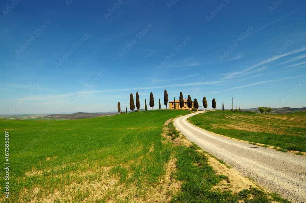 Farmhouse (Villa i Cipressini) in Tuscany on a hill with cypress trees green fields and white road in Pienza, Valdorcia (Orcia Valley), Italy.
